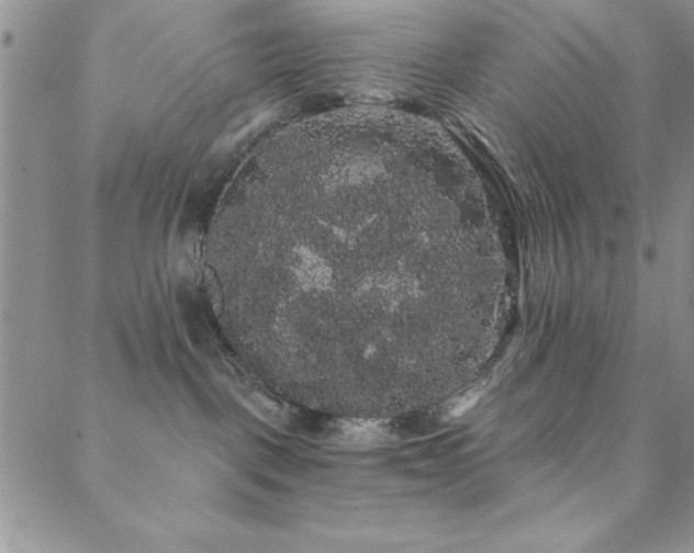 X0000088590093200705251200