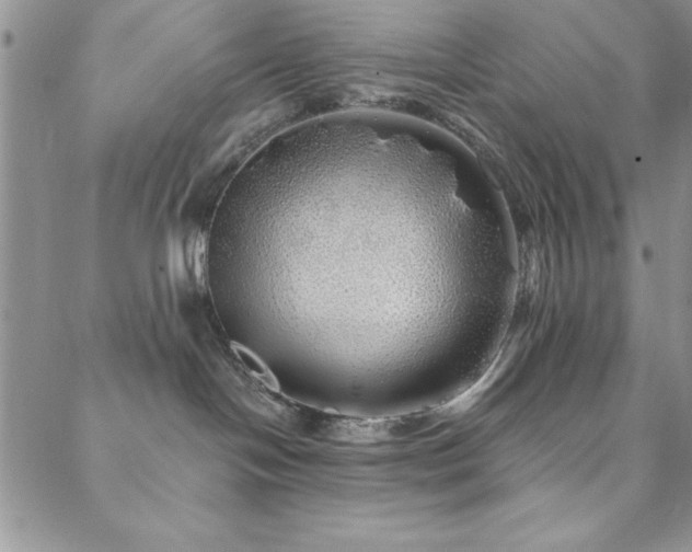 X0000088590094200705251200