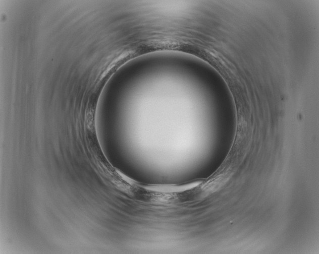 X0000088590096200705251200