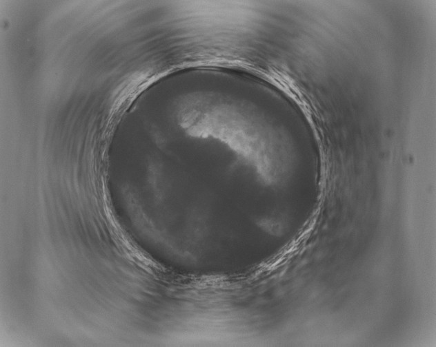 X0000088590097200705251159