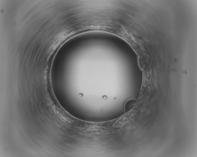 X0000088590098200705251159