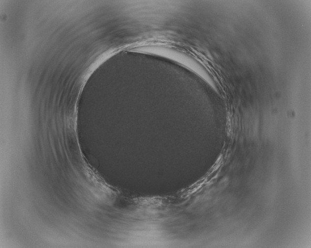 X0000088590100200705251159