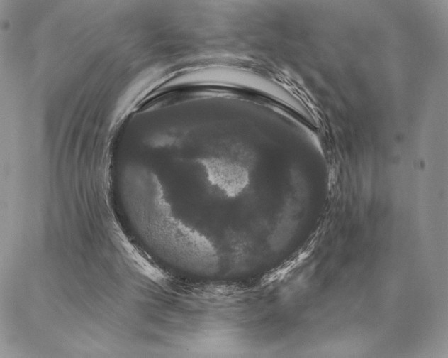 X0000088590101200705251159