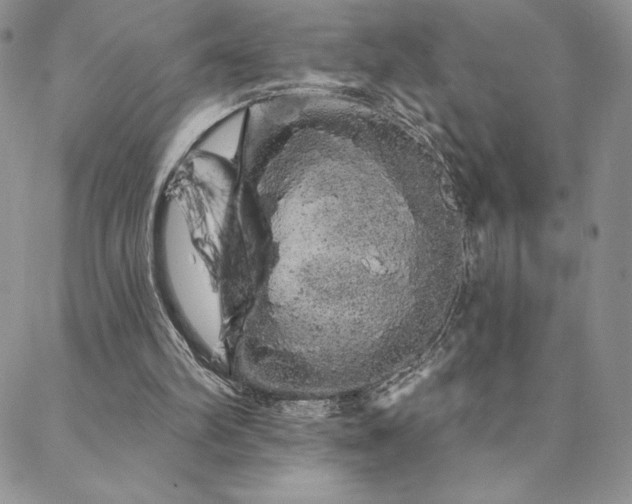 X0000088590102200705251159