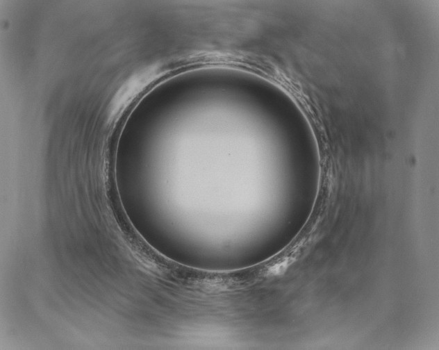 X0000088590103200705251159