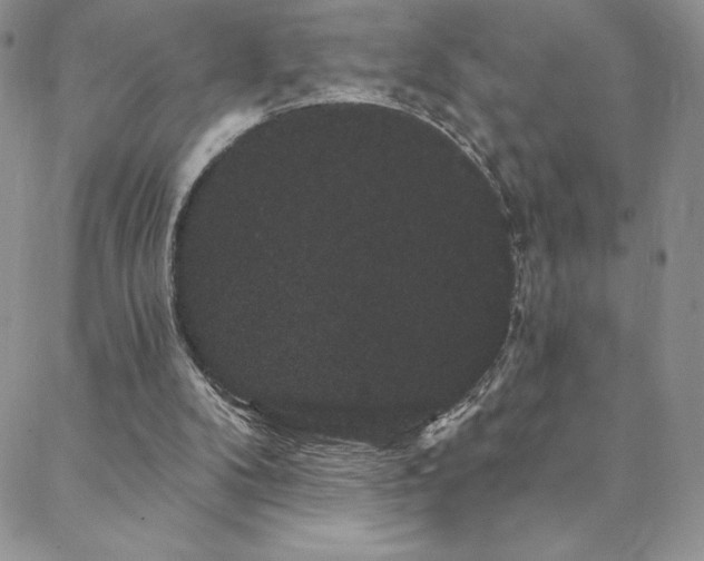 X0000088590104200705251159