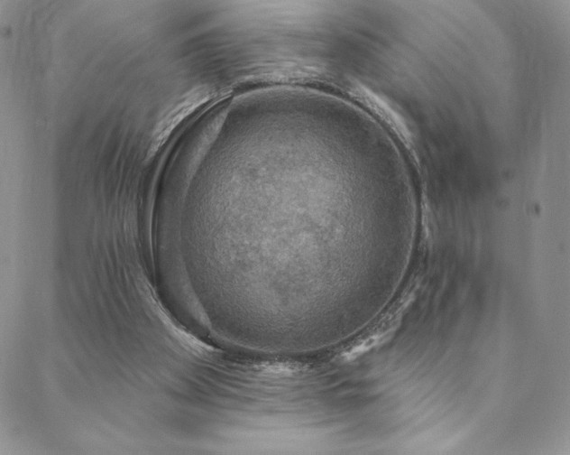 X0000088590105200705251159