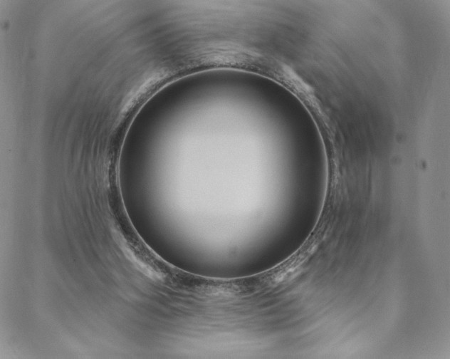 X0000088590106200705251159