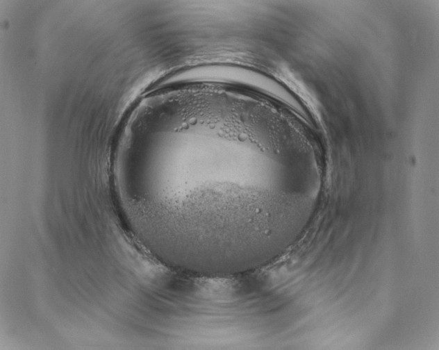 X0000088590107200705251159