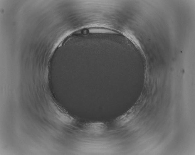 X0000088590108200705251159