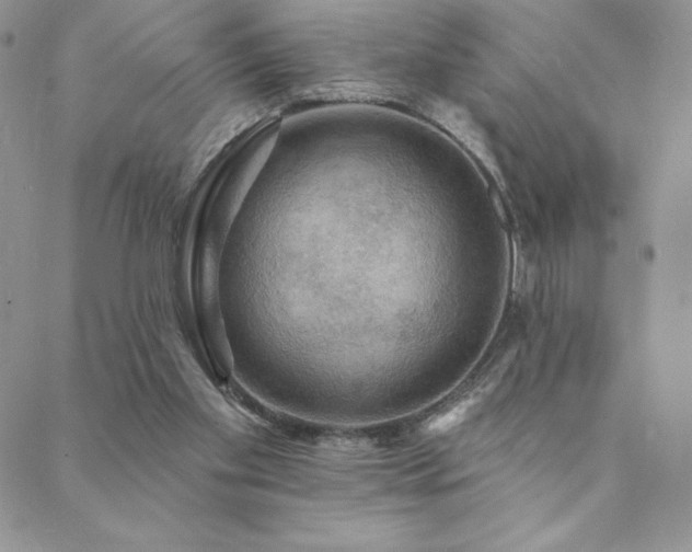 X0000088590109200705251159