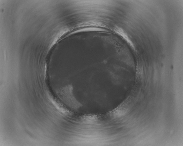 X0000088590110200705251159