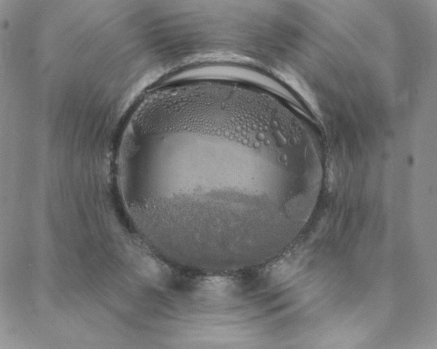 X0000088590111200705251159