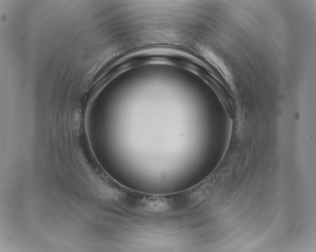 X0000088590113200705251159