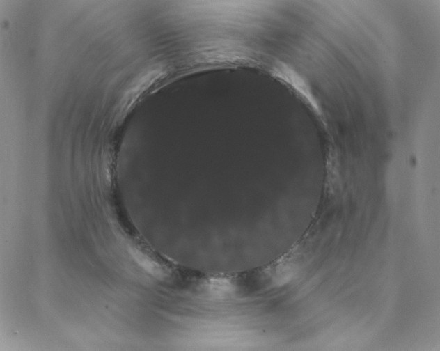 X0000088590114200705251159