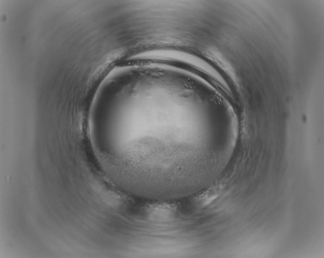 X0000088590115200705251159