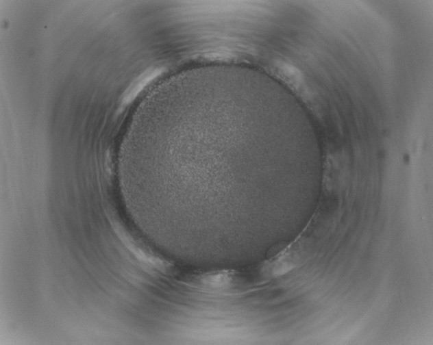 X0000088590116200705251159