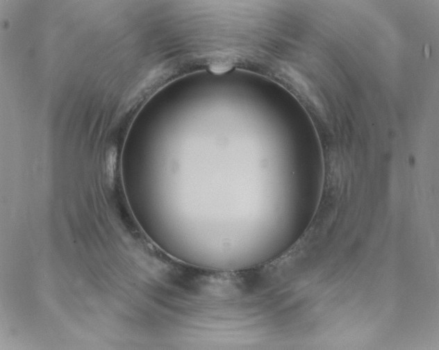 X0000088590118200705251159