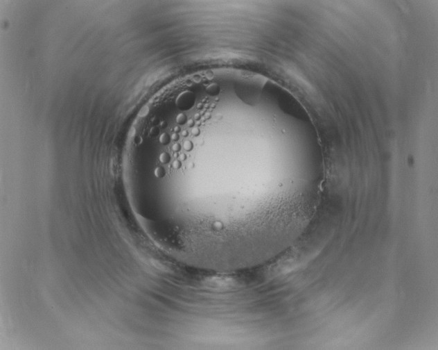 X0000088590119200705251159