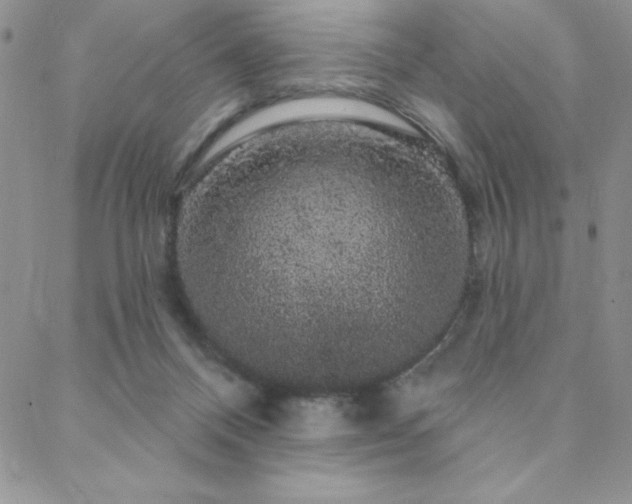 X0000088590120200705251159