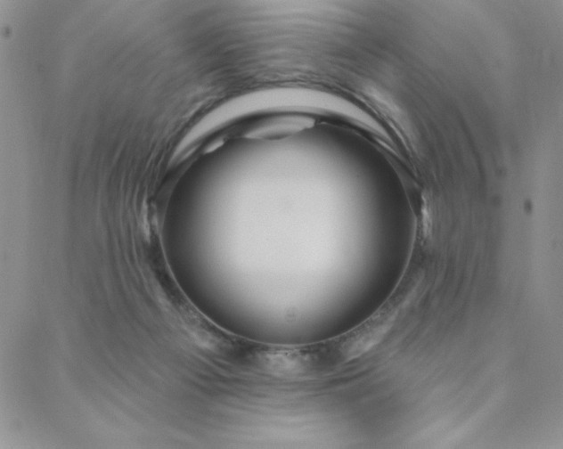 X0000088590121200705251159