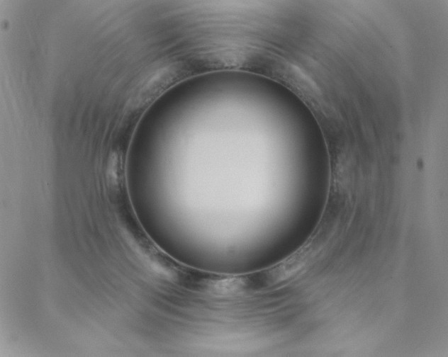 X0000088590122200705251159