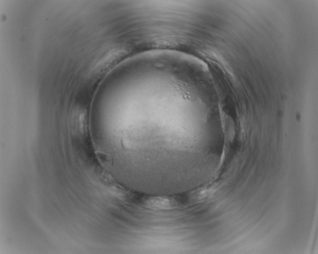 X0000088590123200705251159