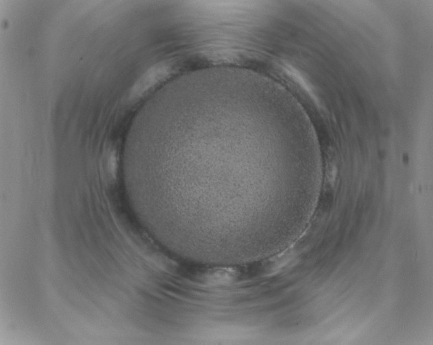 X0000088590124200705251159