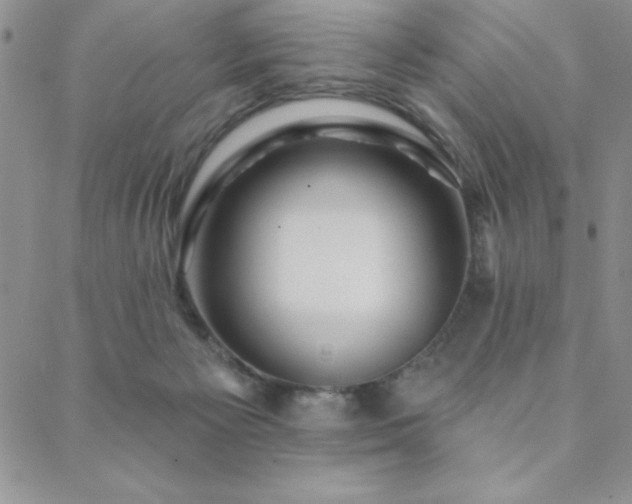 X0000088590125200705251159