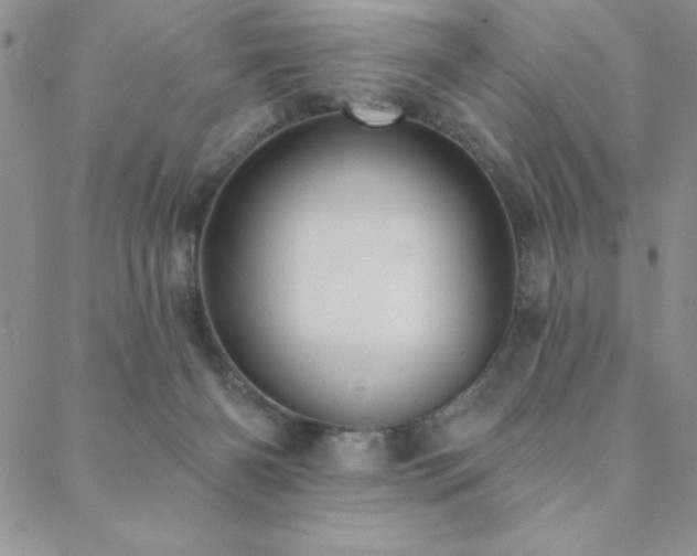 X0000088590126200705251159