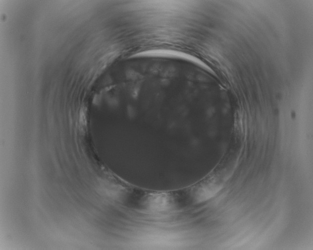 X0000088590127200705251159