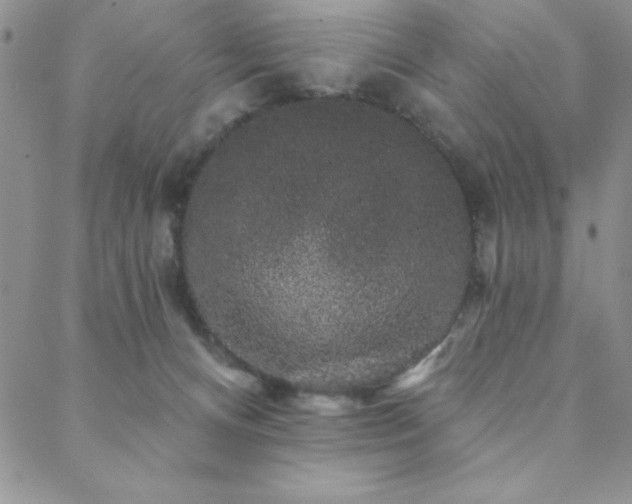 X0000088590128200705251159