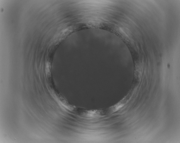 X0000088590130200705251159