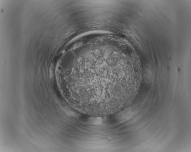 X0000088590131200705251159