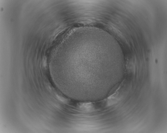 X0000088590132200705251159