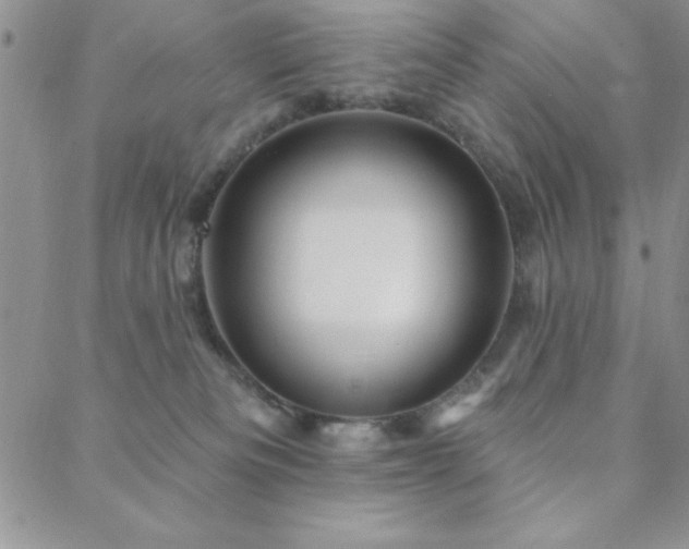 X0000088590133200705251159