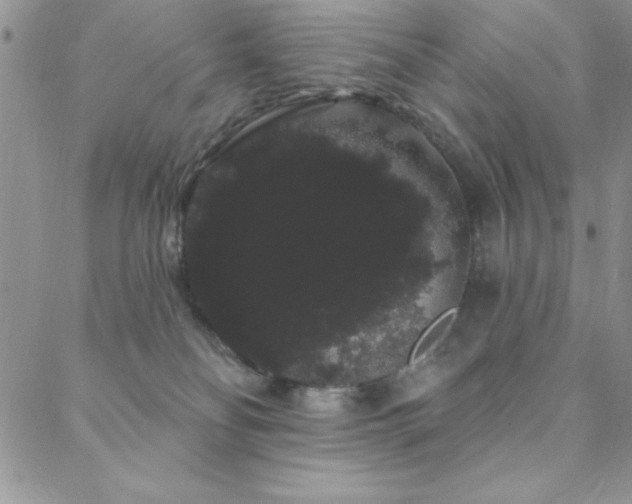 X0000088590134200705251158