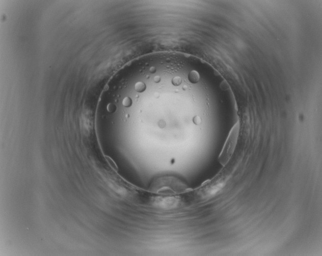 X0000088590135200705251158