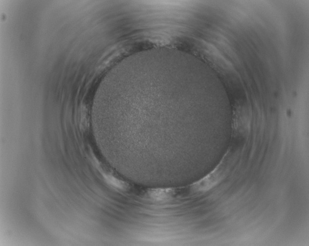 X0000088590136200705251158