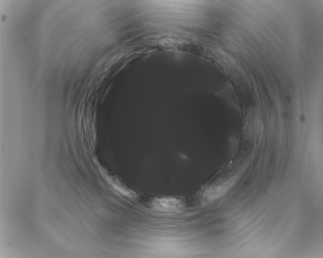 X0000088590137200705251158