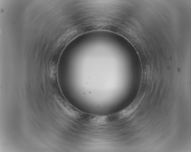 X0000088590138200705251158