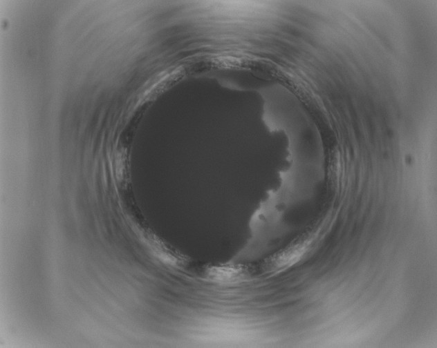 X0000088590139200705251158