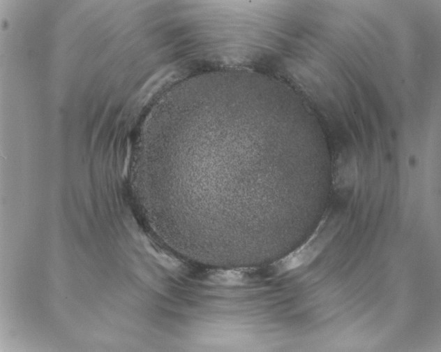 X0000088590140200705251158