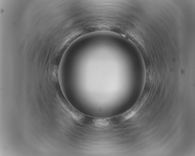 X0000088590141200705251158