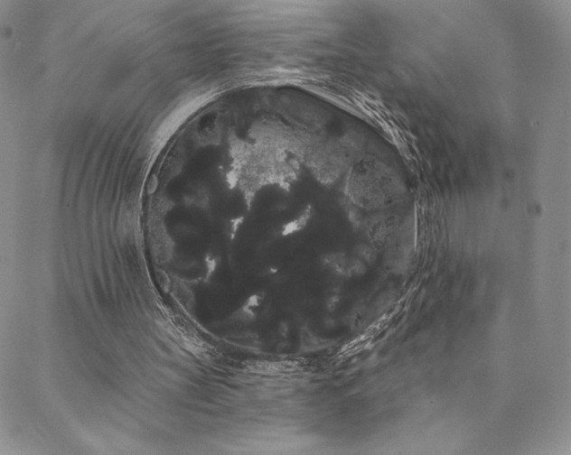 X0000088590147200705251158