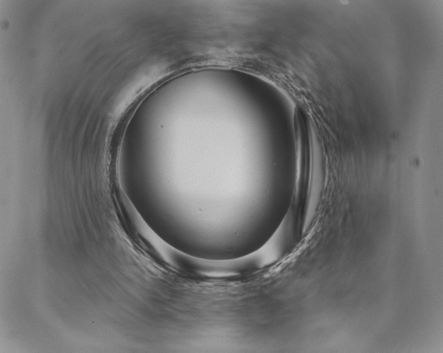 X0000088590150200705251158