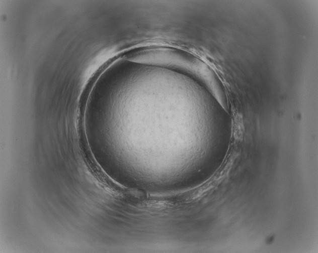 X0000088590152200705251158