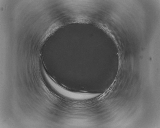 X0000088590154200705251158