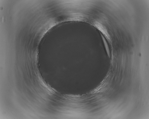 X0000088590156200705251158