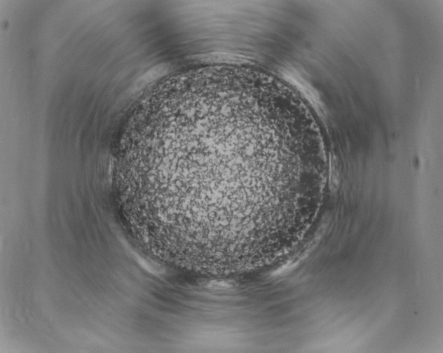 X0000088590157200705251158